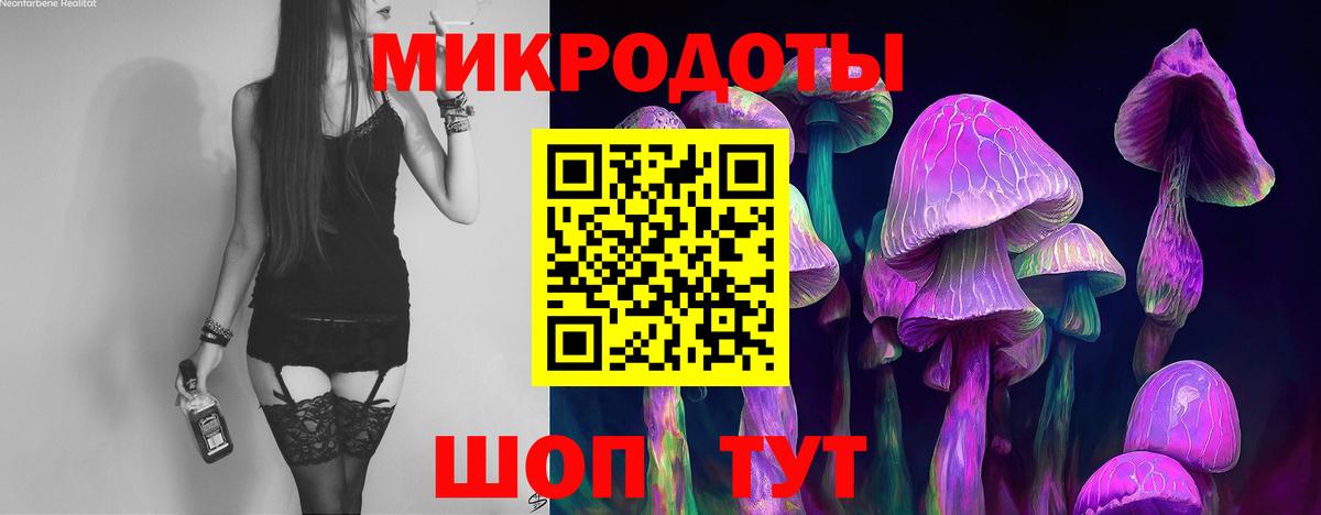 Псилоцибиновые грибы мицелий  Вход с VPN  купить  цена  Будённовск 